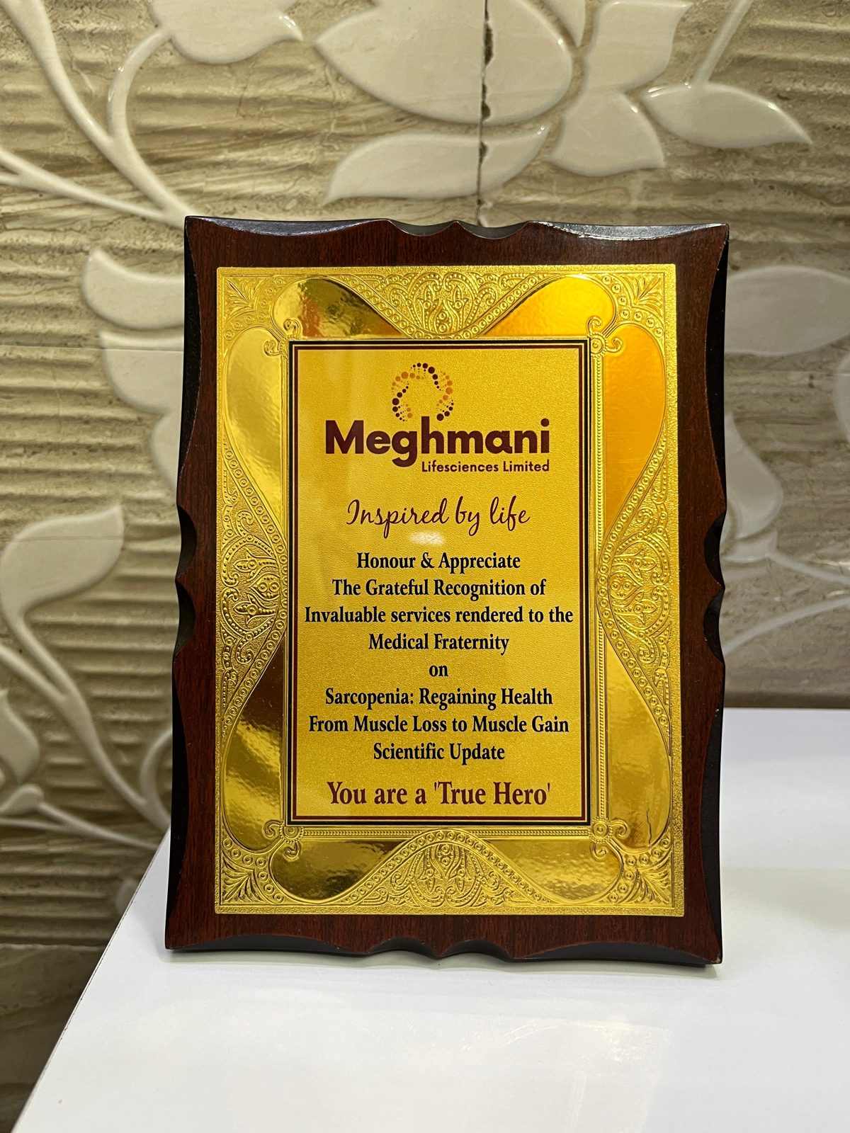 Meghmani Lifesciences appreciation plaque